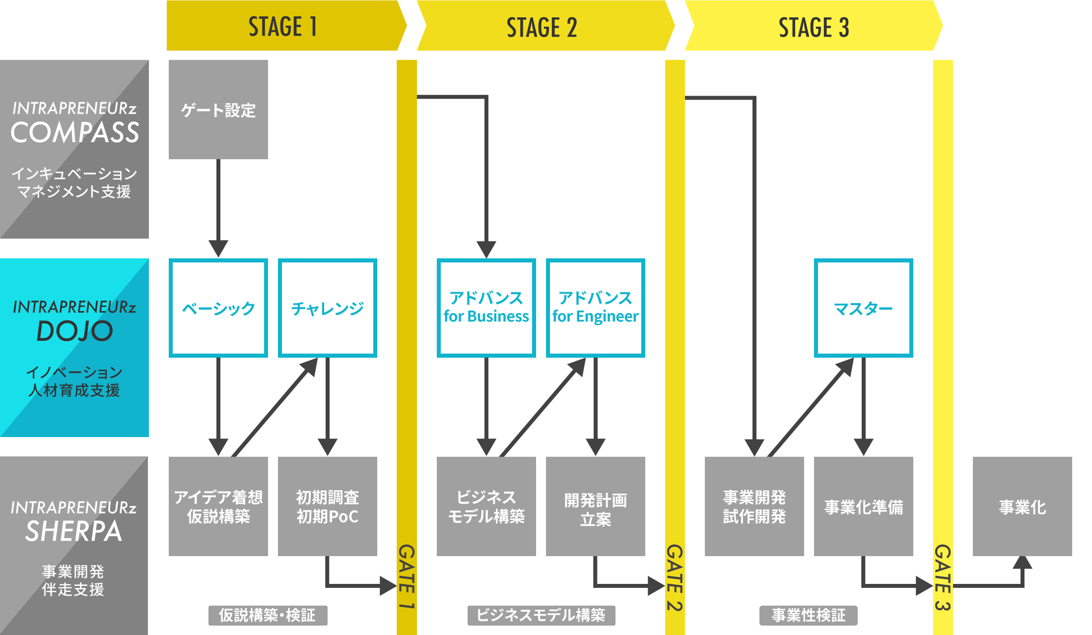 dojo_chart